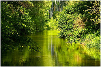 Green Lake, cool, , lake, green HD wallpaper