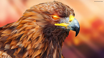Polygonal Eagle 2, Sunrise, Orange, Polygonal, Calm, Close Up, Eagle, Bokeh HD wallpaper