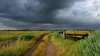 road, field, country, gate, pasture, cloudy, clouds HD wallpaper