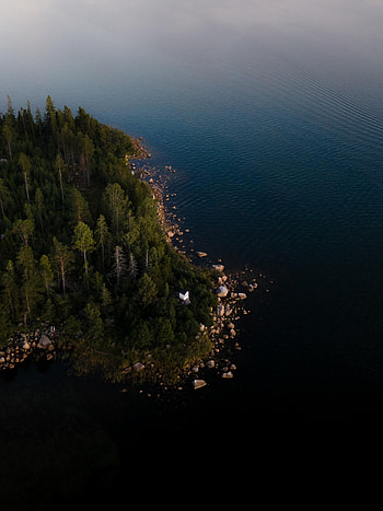 Nature, Water, Trees, View From Above, Coast, Forest HD phone wallpaper