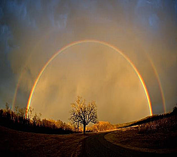 Solace~, spirituality, thoughts, rainbow, provoking, solatude, tree HD wallpaper