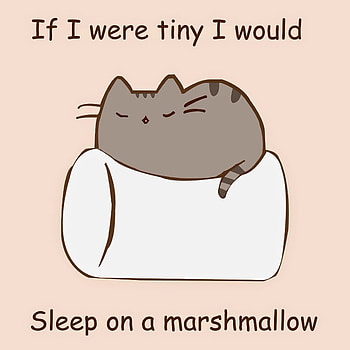 Pusheen the Cat ! HD phone wallpaper