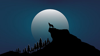Wolf On Top Of Rock Mountain Moon Sky Background Minimalism HD wallpaper