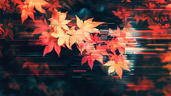 Vibrant Autumn Leaves - Ultra, Autumn, autumn leaves, nature, Abstract HD wallpaper