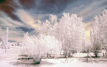 Winter, Nature, Trees, Sky, Snow, Frost, Hoarfrost, Swing HD wallpaper