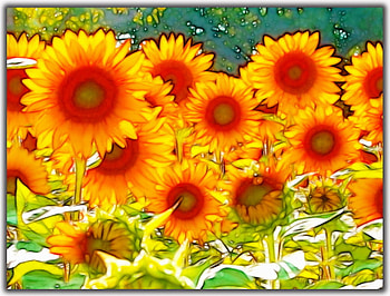 SUNFLOWER ART, beautiful, flowers, sun, art HD wallpaper