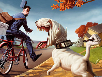 Funny, Dogs HD wallpaper