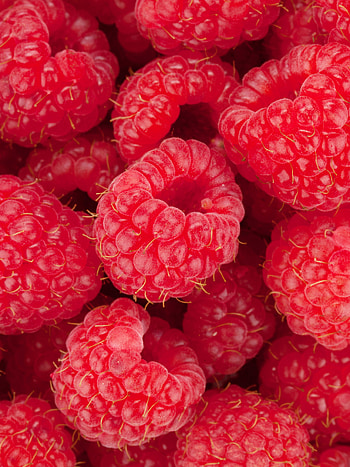 Food, Raspberry, Background HD phone wallpaper