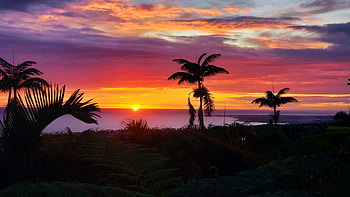 Beautiful sunset in Kailua-Kona, Hawaii, beach, sea, clouds, colors, sky, usa, palm trees HD wallpaper