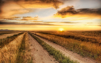 Nature, Sunset, Grass, Autumn, Road, Field, Evening HD wallpaper