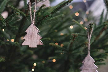 Close-up of wooden tree ornaments hanging on a pine branch, perfect for holiday decor. HD wallpaper