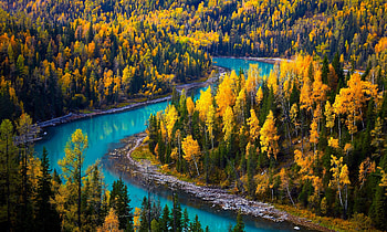 Autumnal view, scene, fall, trees, bay, view, forest, colorful, river, China, beautiful, autumn HD wallpaper