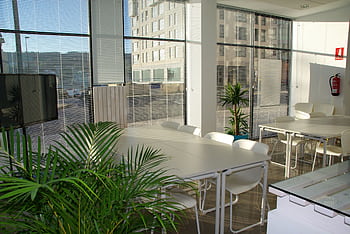 Spacious, sunlit office lounge featuring white tables and chairs with a modern aesthetic. HD wallpaper