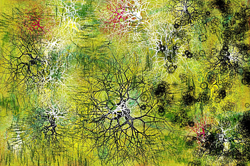 Abstract, Lines, Stains, Spots HD wallpaper