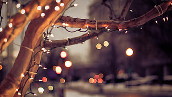 Tree lights , Stunning displays, Breathtaking illuminations, Festive ambiance HD wallpaper