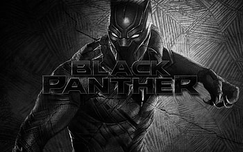 Monochrome, Black Panther HD wallpaper