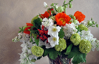 Flowers, Poppies, Lilac, Narcissussi, Bouquet, Vase, Composition, Hydrangea HD wallpaper