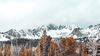Nature, Trees, Mountains, Vertex, Tops, Snow Covered, Snowy HD wallpaper
