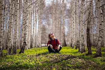 A woman sits peacefully in a sunlit birch tree forest, enjoying nature's serenity. HD wallpaper