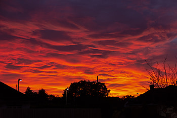 Nature, Trees, Sunset, Clouds, Fiery HD wallpaper