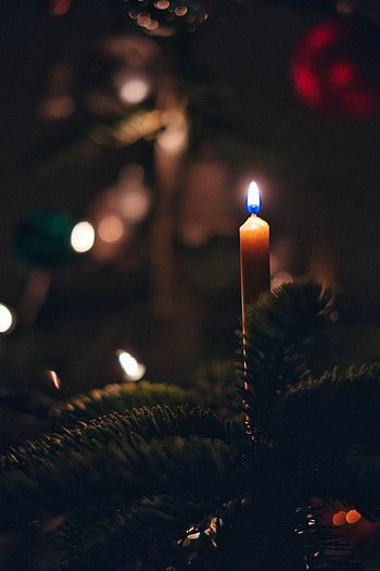 Holidays, Fire, New Year, Christmas, Christmas Tree, Candle HD phone wallpaper