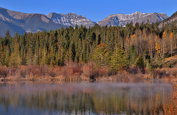 Nature, Water, Trees, Mountains, Reflection, Forest HD wallpaper