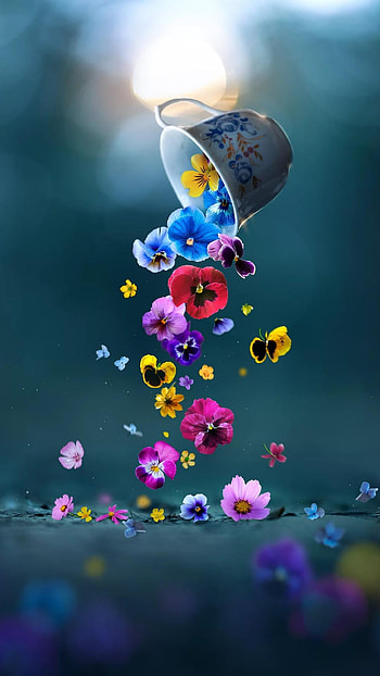 man made, flower HD phone wallpaper