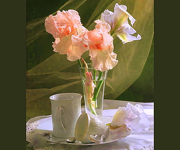 Spring blooms, coral, light, vase, flowers, cup HD wallpaper