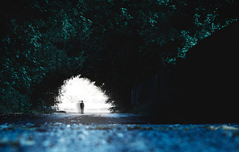 Trees, Silhouette, Miscellanea, Miscellaneous, Blur, Smooth, Child HD wallpaper