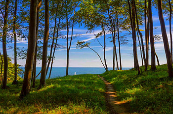 Summer Path, sea, path, beautiful, grass, summer, clouds, trees, Germany, forest HD wallpaper