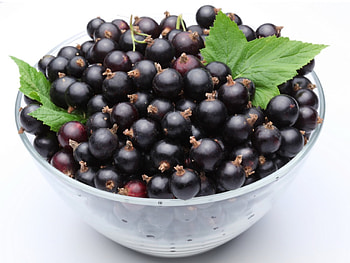 SO FRESH, jelly, hot, cool, fruit, food, nice HD wallpaper