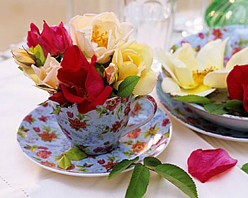 Beautiful Flowers, flowers, bloom, cup, petals HD wallpaper