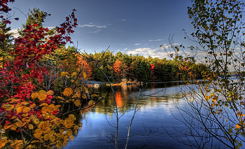 Autumn, trees, colours, lake HD wallpaper