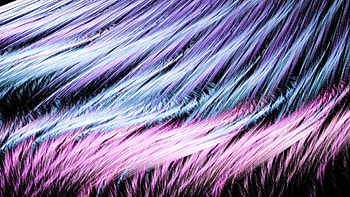 Abstract, Feather, Shine, Lines, Brilliance, Form HD wallpaper