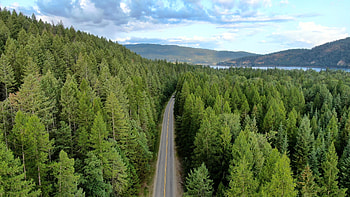Road, aerial view, trees HD wallpaper