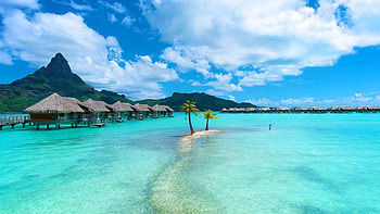 Bora Bora, Green palm tree, Nature landscape HD wallpaper