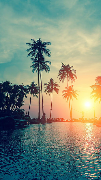 Tropical sunset, Sun HD phone wallpaper