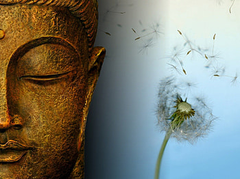 ๑๑ Loving essence ๑๑, loving, entertainment, dandelion, fengshui, grace, essence, budy, silence, meditacion, falling, fashion, spirit, buddha, love, peace, calm HD wallpaper