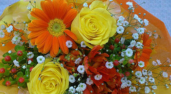 Flowers, Roses, Gerberas, Typography, Registration, Bouquet, Gypsophilus, Gipsophile HD wallpaper