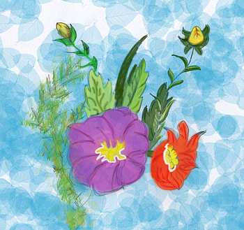 Flowers - Hand Drawn and Digitally Colored, drawn, art, flowers, pencil, colorized HD wallpaper