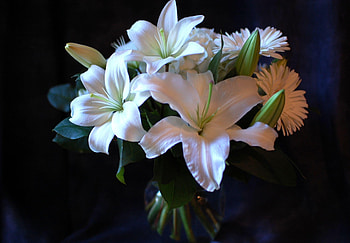 Flowers, Lilies, Gerberas, Bouquet HD wallpaper