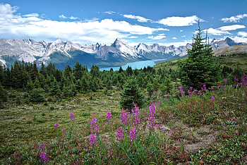 Nature, Flowers, Grass, Mountains, Lake, Valley HD wallpaper