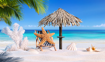 Summer beach, Palms, Vacation, Seashells, Starfish HD wallpaper