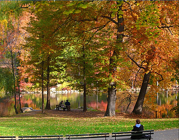beautiful autumn day, colorful, colors, autumn, beautiful, nature, peaceful, walk HD wallpaper