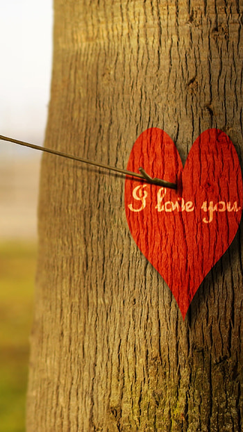 L Love You, Tree Background HD phone wallpaper