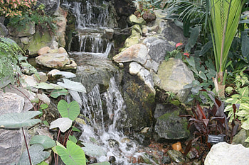 A day with my camera at the Pyramids 30, Green, Waterfalls, graphy, garden, flowers, rocks HD wallpaper