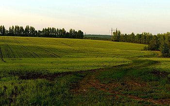 Nature, Field, Mainly Cloudy, Overcast, Agriculture HD wallpaper