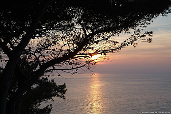 Sunset Calabrian Coast, sea, reflection, sky, water, silhouette, sunset, tree HD wallpaper