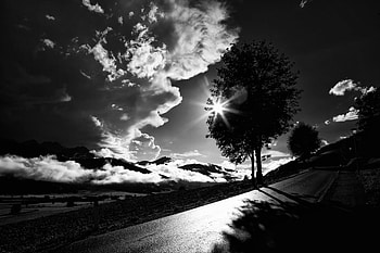 Sunset, Clouds, Dark, Wood, Road, Tree, Bw, Chb HD wallpaper