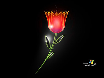 digi-flower, digi, flower HD wallpaper